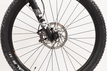 Spectral 29 CF 8