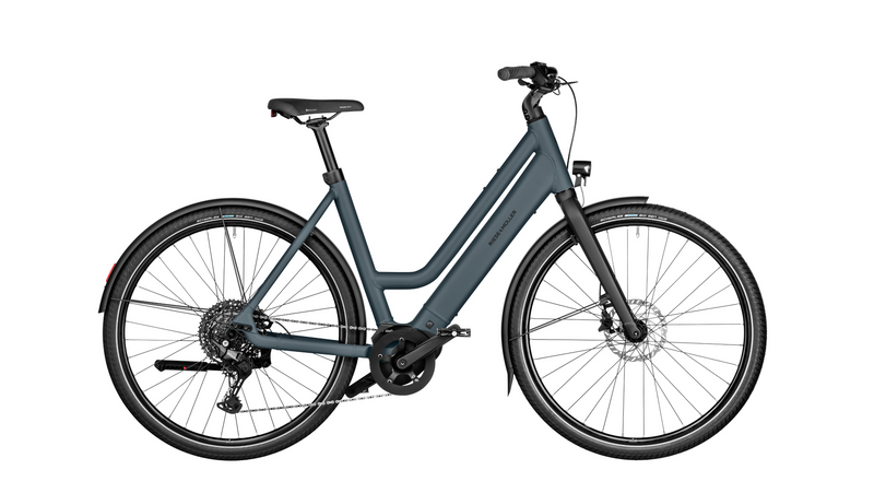 Culture Mixte Culture Mixte